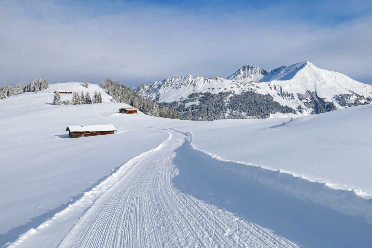 Skiing in the Swiss Alps