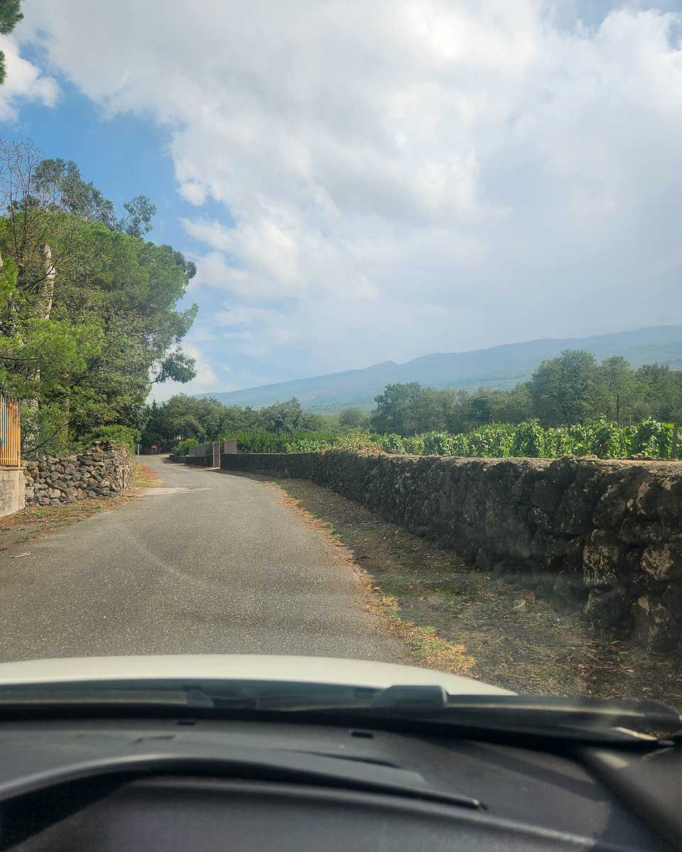 Views from rental car while driving in Europe (9)