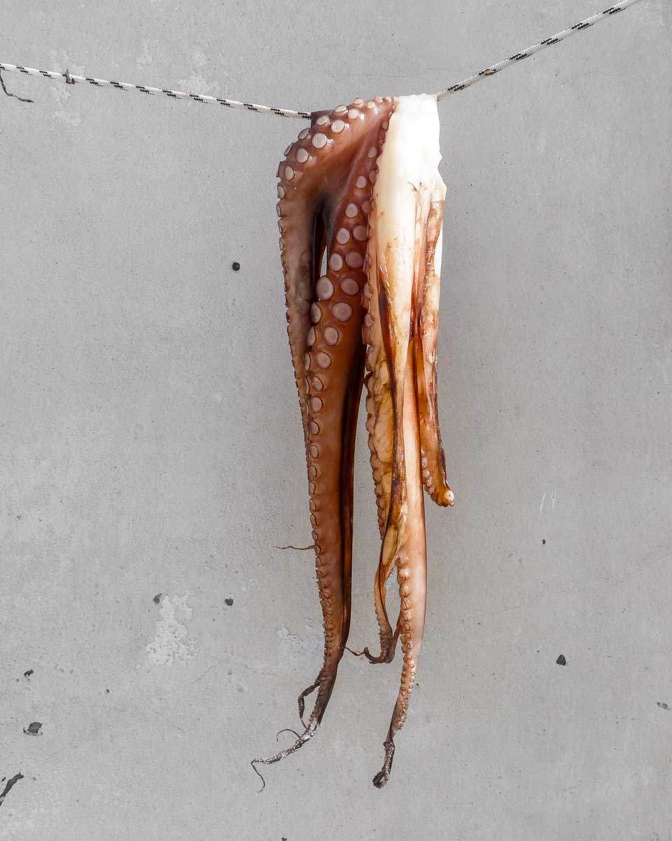 An-octopus-drying-on-a-food-tour-in-Naxos-Greece