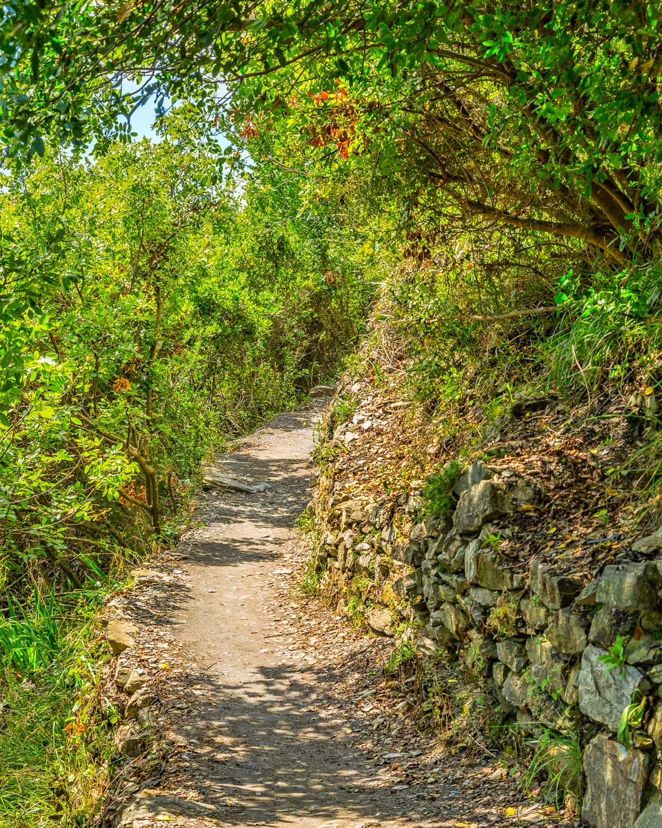 Footpath-in-Cinque-Terre-National-Park-Italy