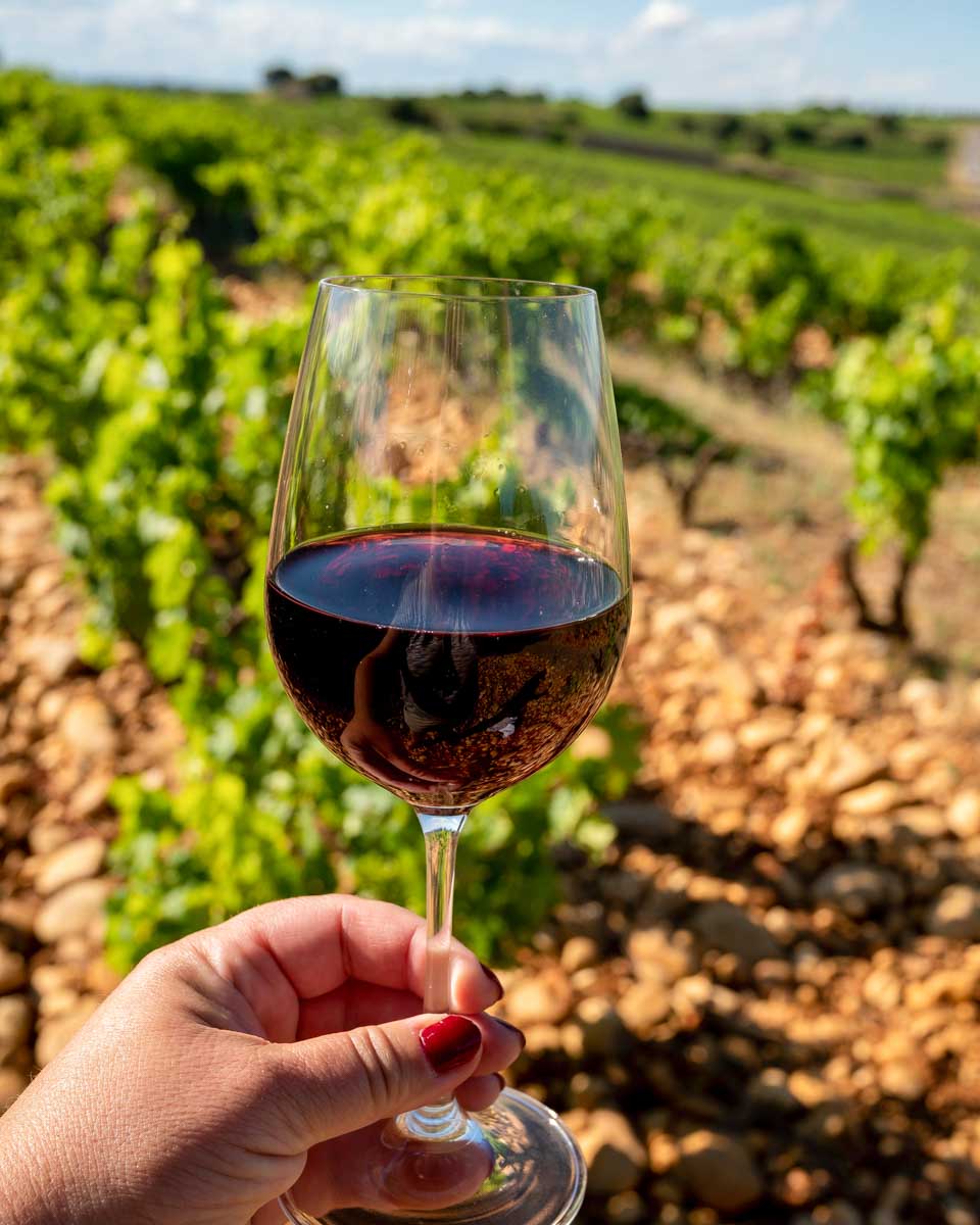 Wine-drank-on-a-tour-from-Bordeaux France