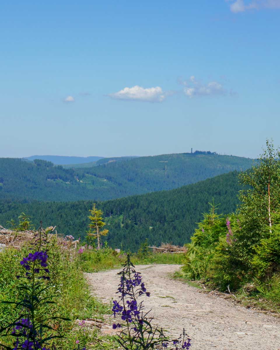 Hiking in the Black Forest Germany (1)