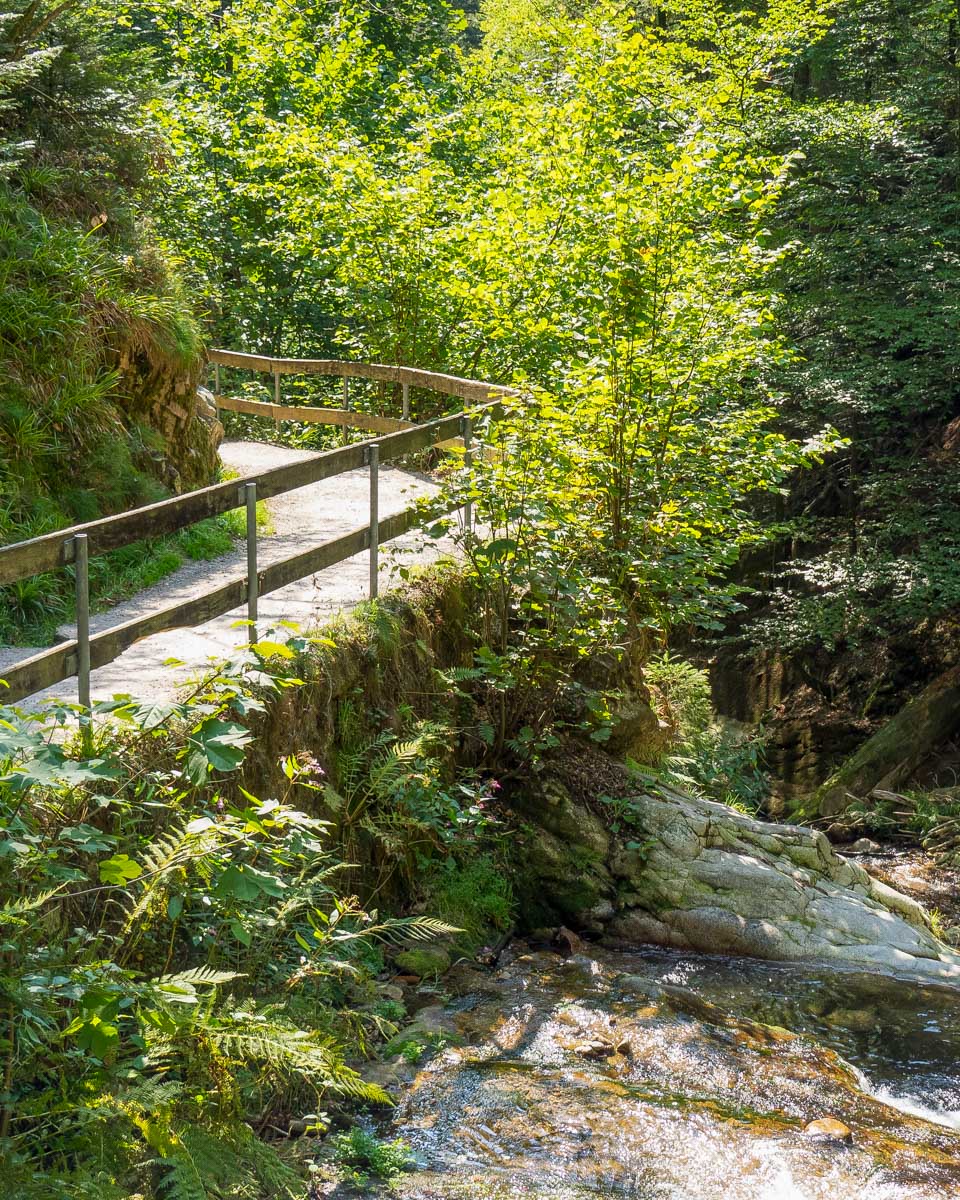 Hiking in the Black Forest Germany (2)