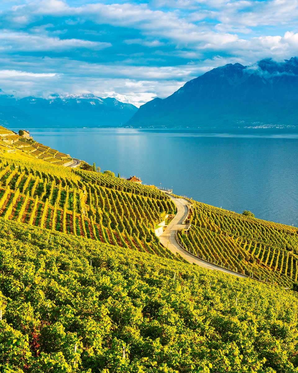 Lake Geneva and the Lavaux wine region, Switzerland
