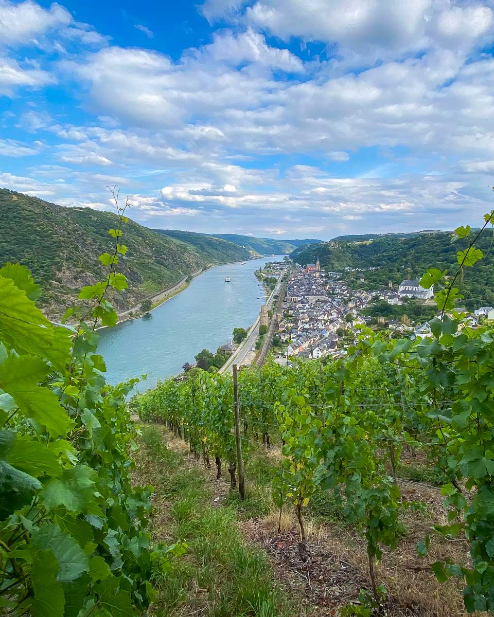 Rhine Valley Germany and vineyards