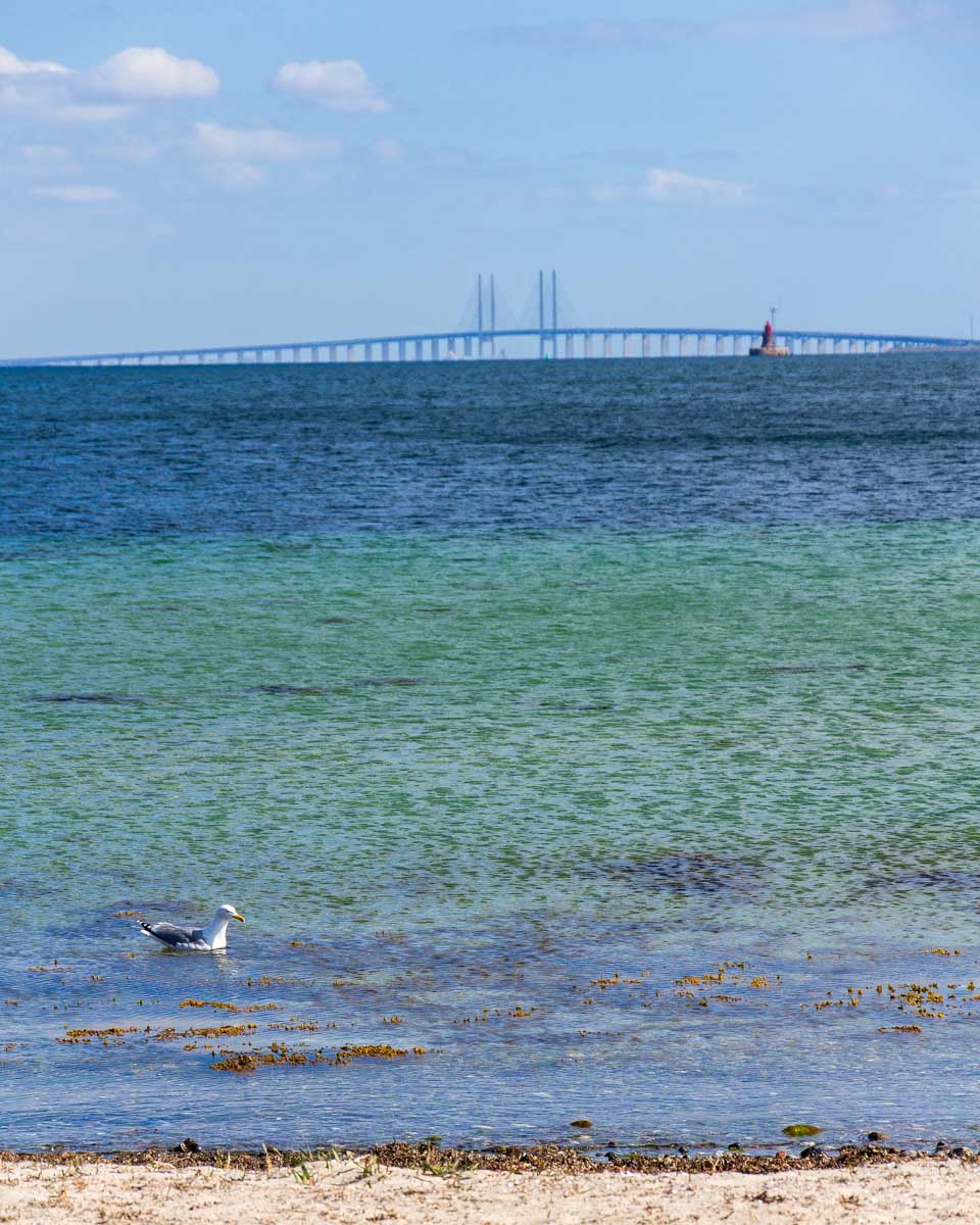 The Oresund bridge seen from Amager beach park in Copenhagen Denmark