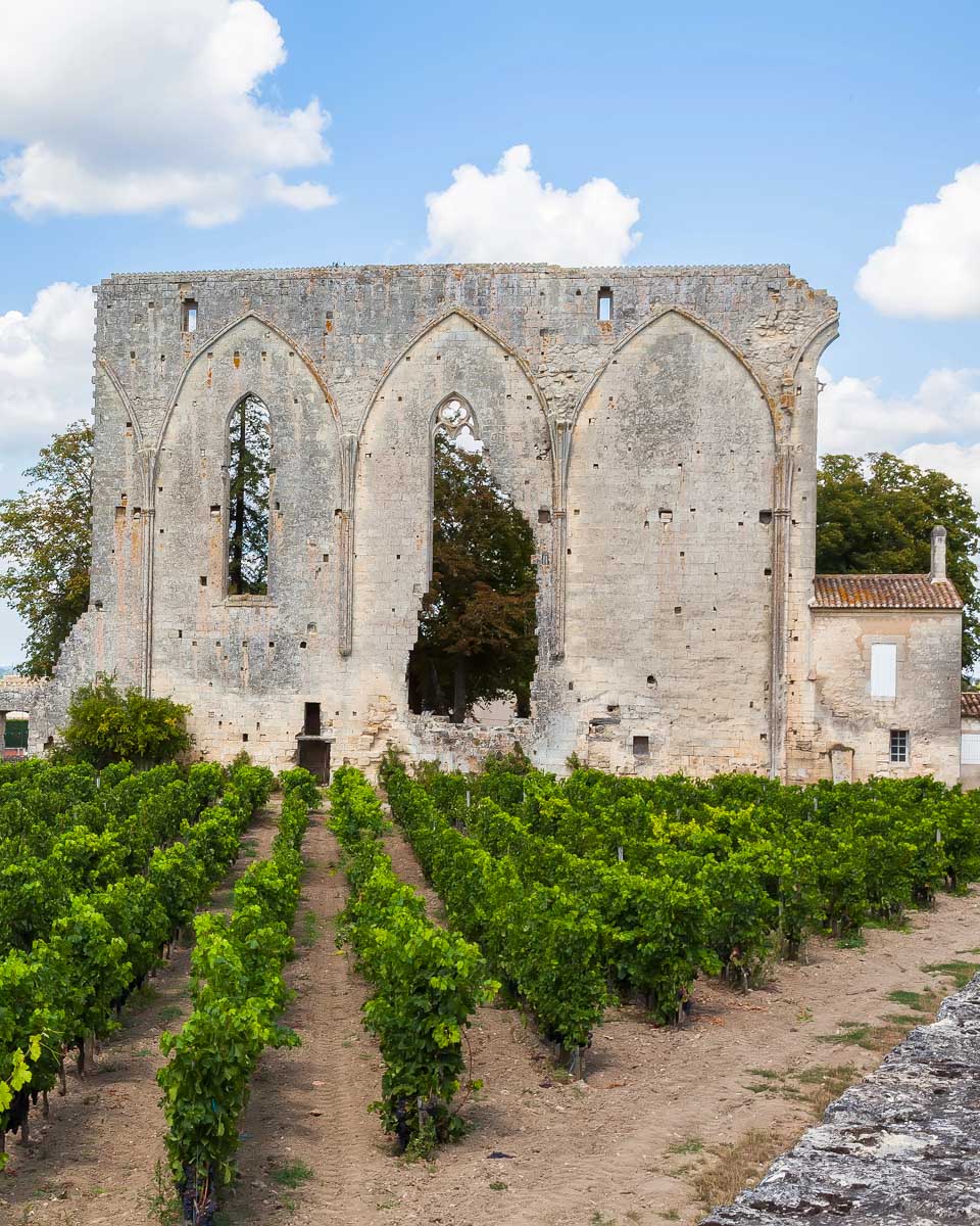 Vineyards of Saint Emilion with ruined church France