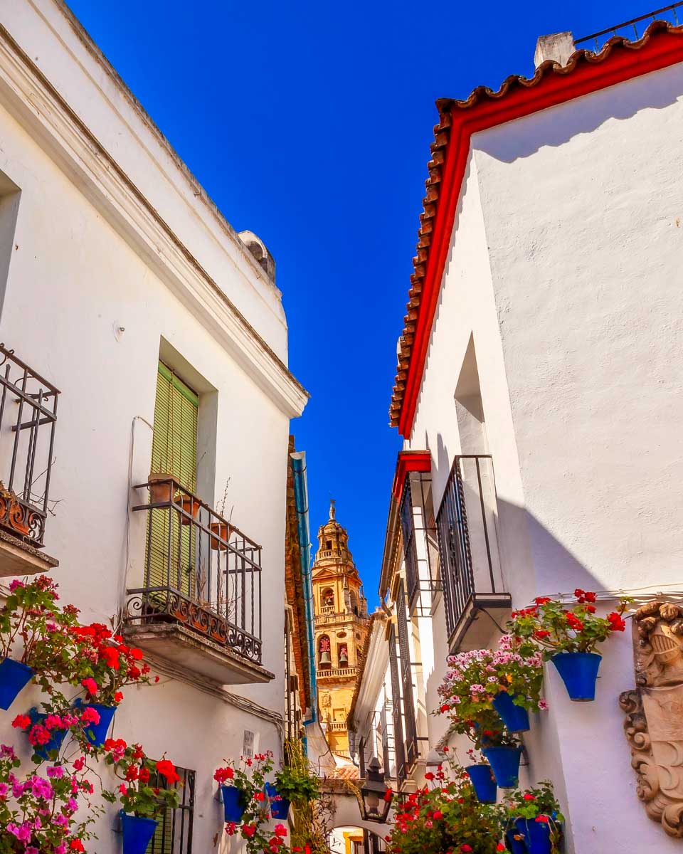 Flower-Street-Torre-del-Aliminar-Tower-Mezquita-Cordoba-Spain-1