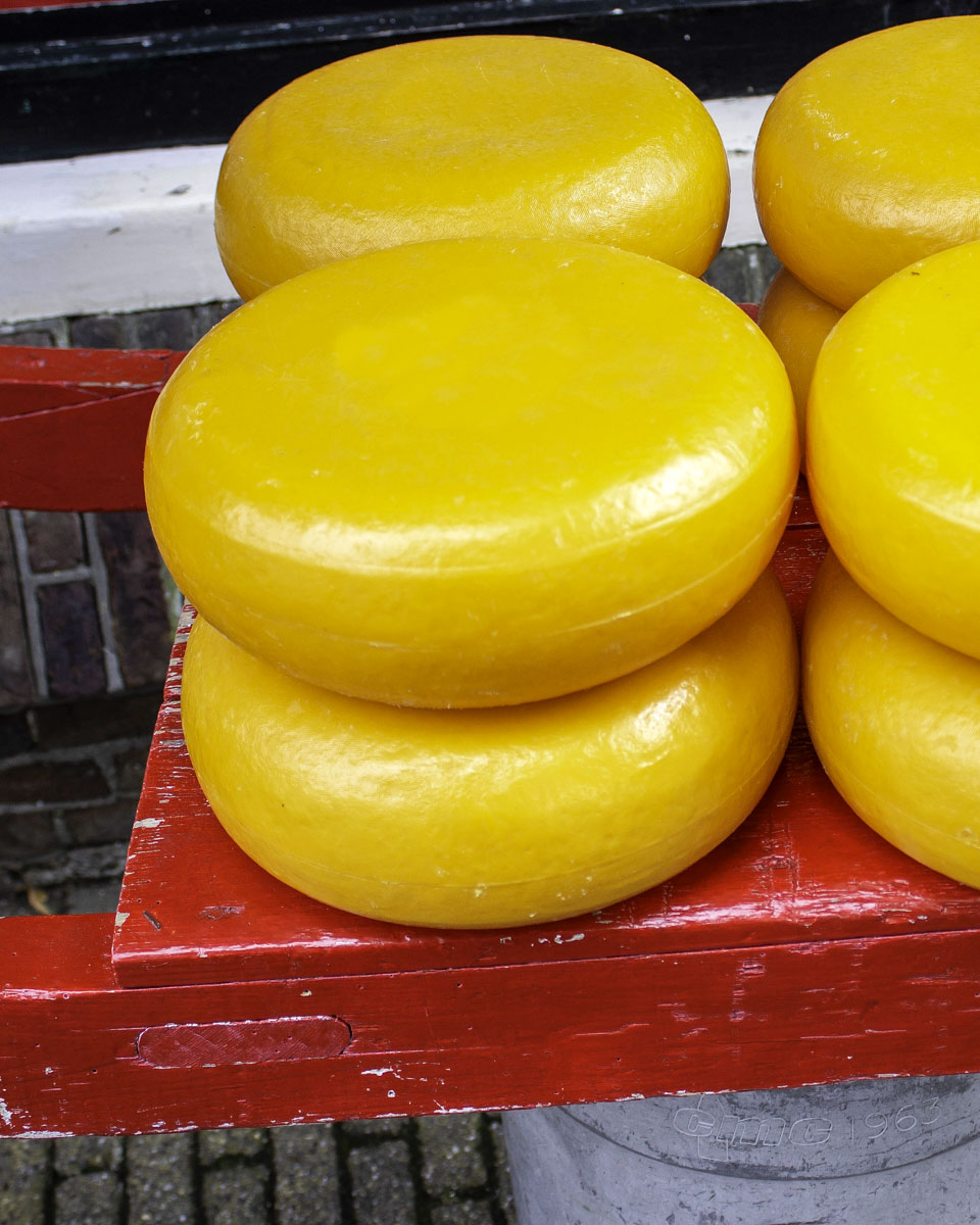 Gouda Cheese Market in the Netherlands (1)