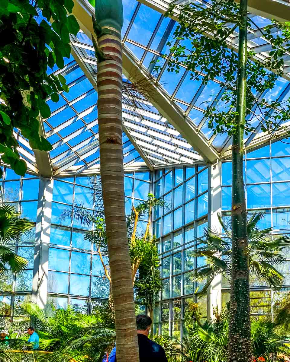 Palmengarten botanical garden in Westend Frankfurt germany