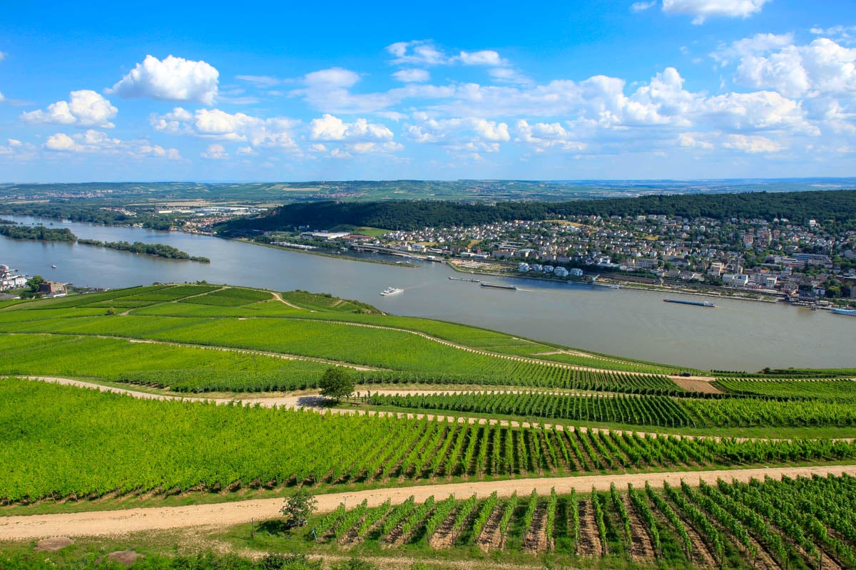 The Rhine Valey seen on a wine tour from Frankfurt Germany