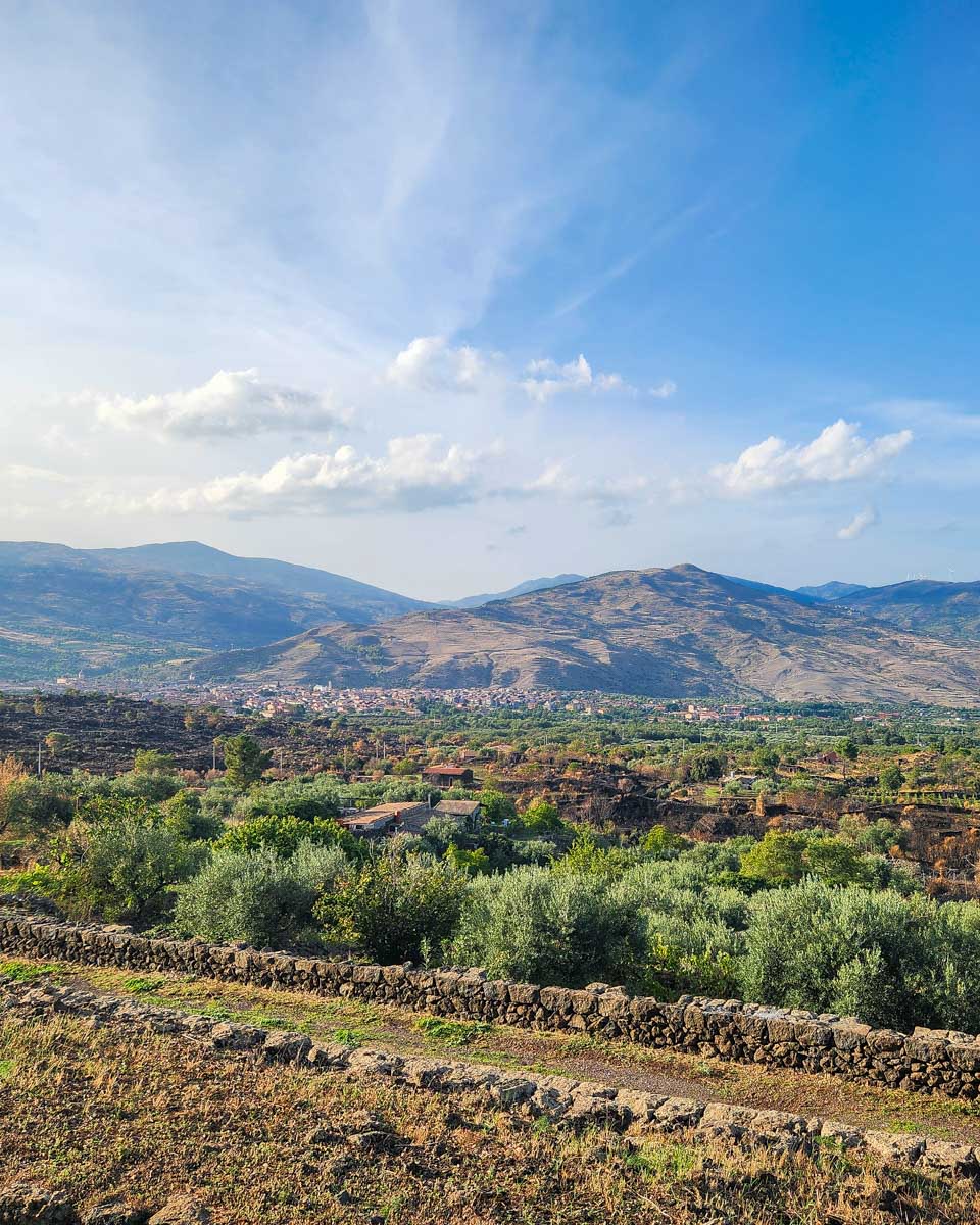 The countryside seen in Italy (2)