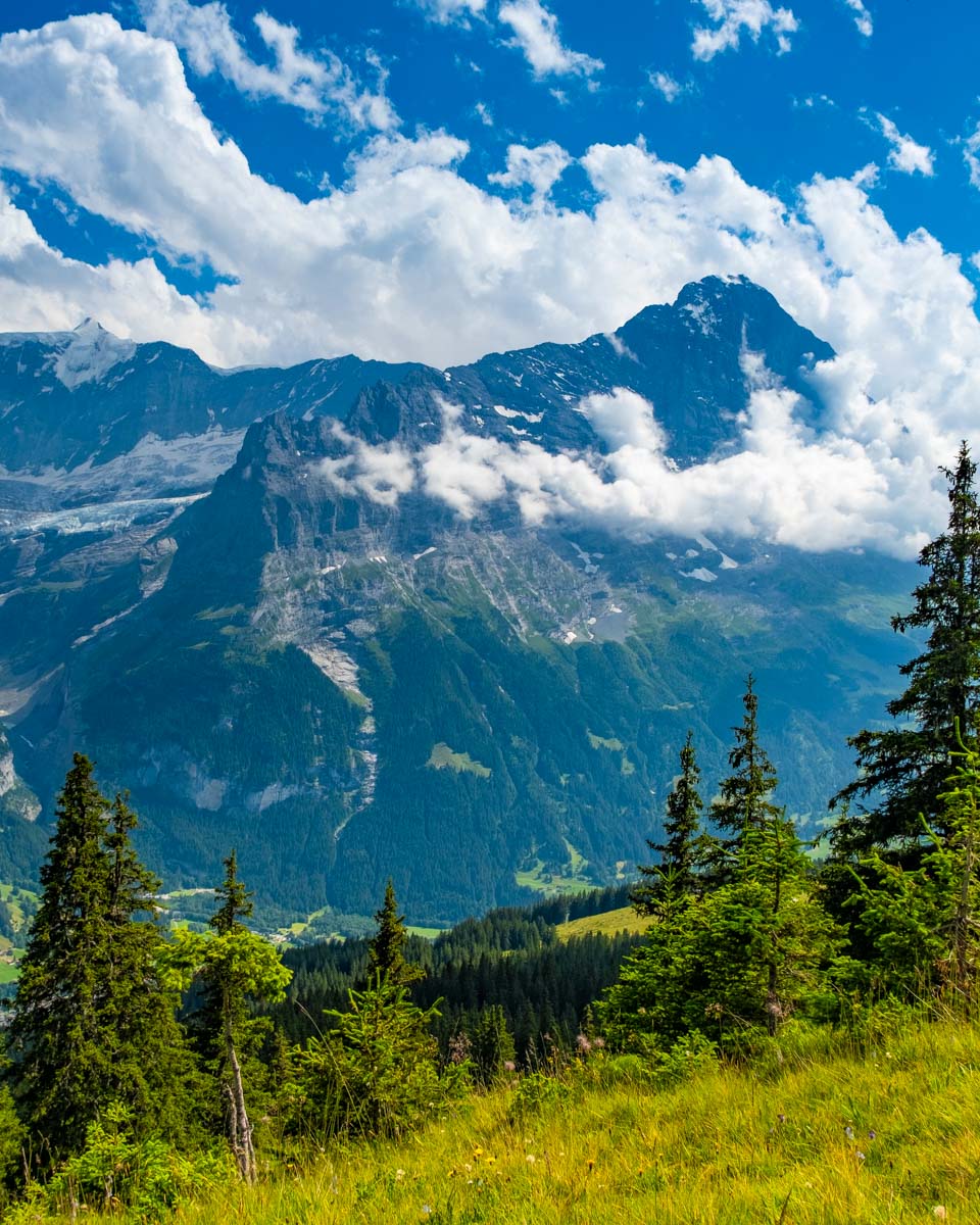 View on the alpine valley Grindelwald. Jungfrau, Switzerland