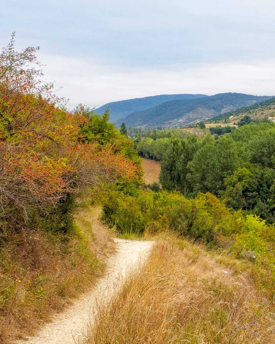 Walking part of the Camino de Santiago in Spain
