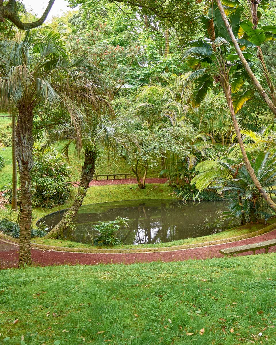 Jardim Botânico António Borges in Sao Miguel Portugal