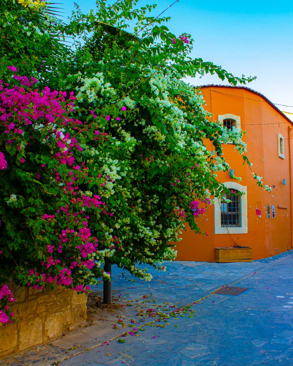 Street in old town Limassol in Cyprus