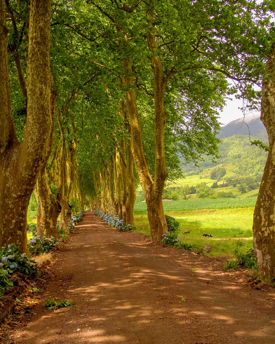 A path around Sete Cidades near Ponta Delgada on Sao Miguel Azores Portugal