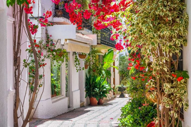 A picturesque and narrow street in Marbella old town Spain