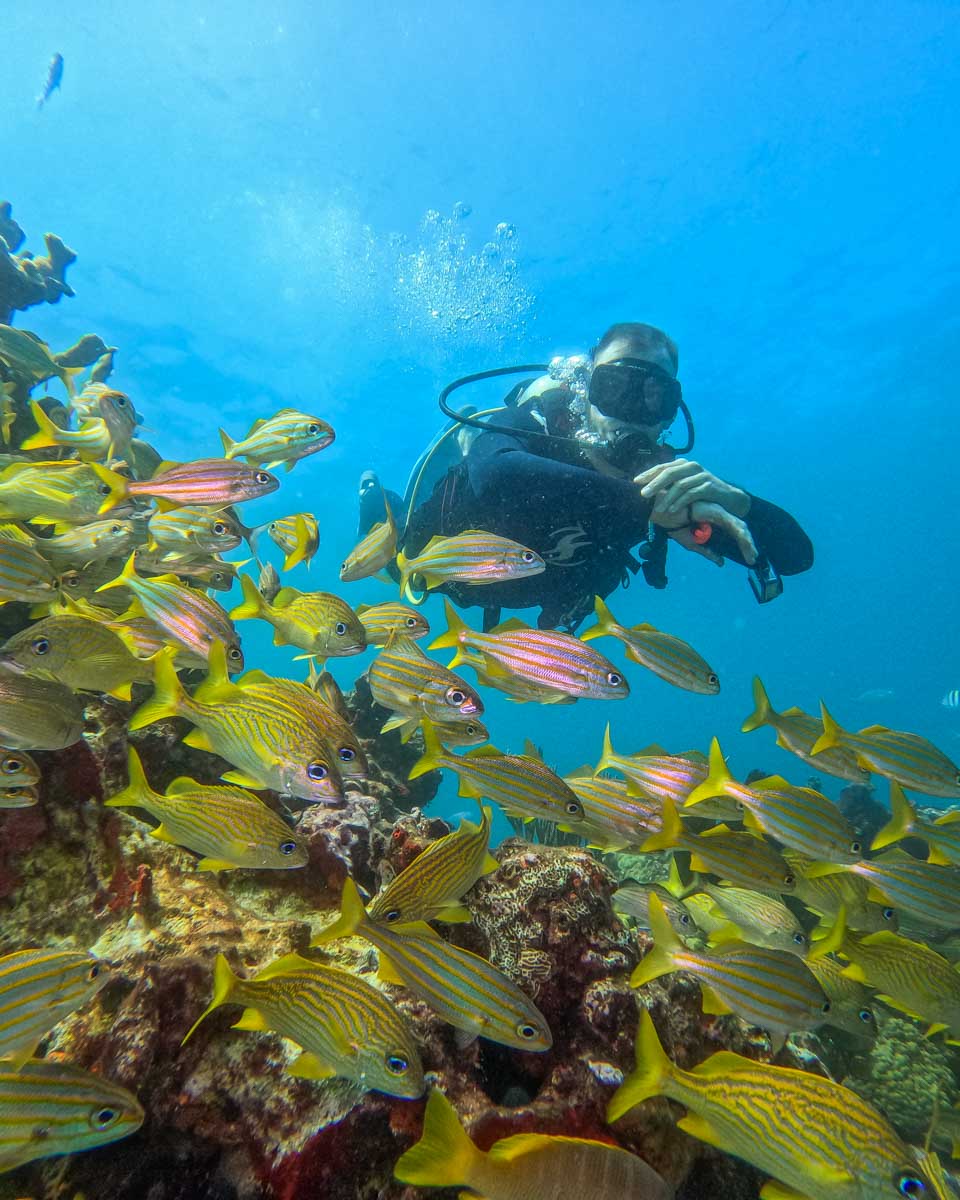 Daniel-scuba-dives-off-the-coast-near Ponta Delgada on Sao Miguel Azores Portugal