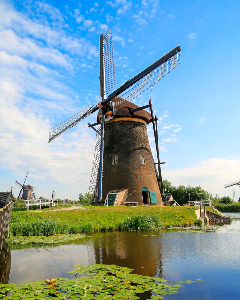 Kinderdijk windmill seen on a day tour from Rotterdam Netherlands