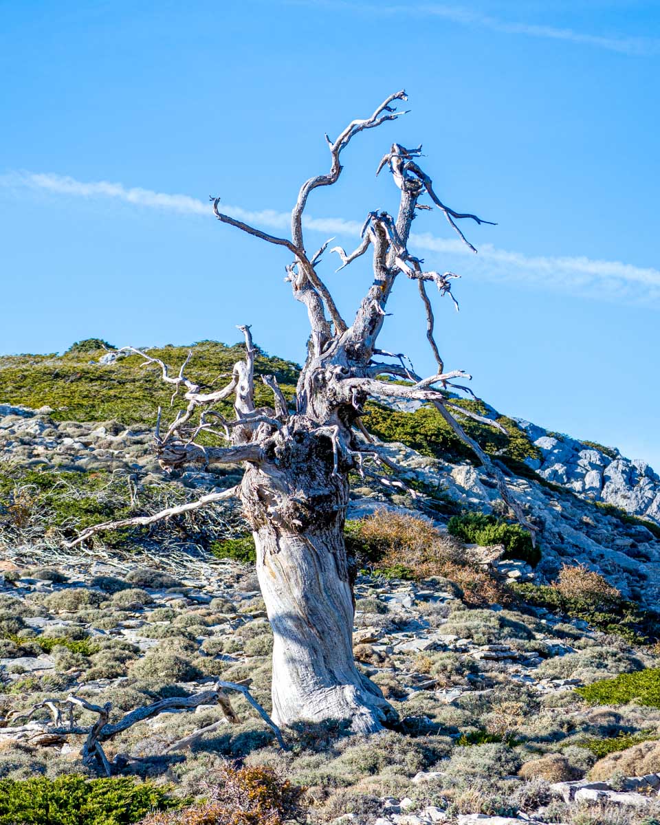 Landscape of Sierra de las Nieves Natural Park seen on a tour from Marbella Spain