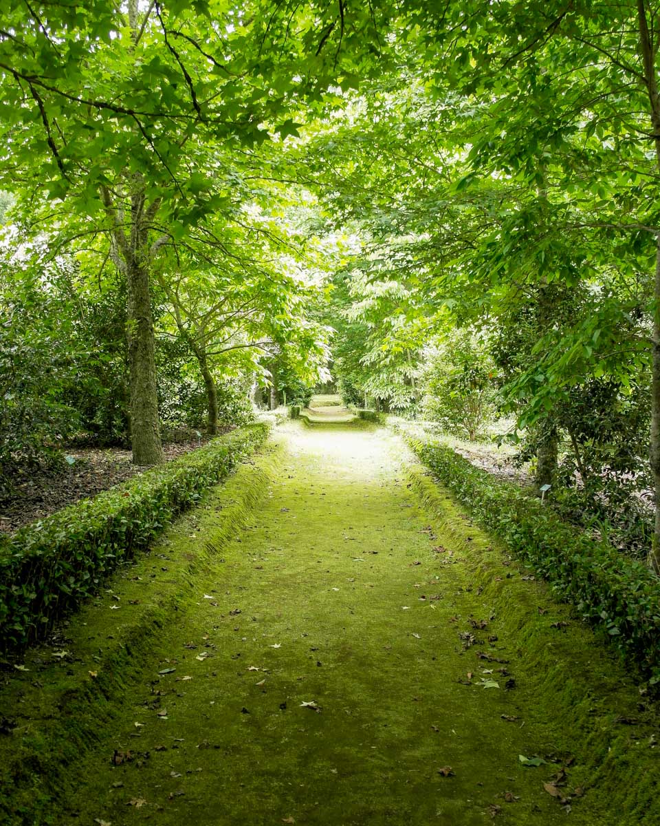 Terra Nostra Park, Sao Miguel island, Portugal (1)