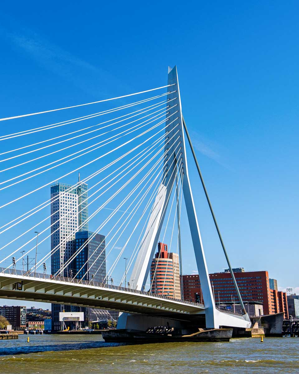 The Erasmus Bridge in Rotterdam, Netherlands