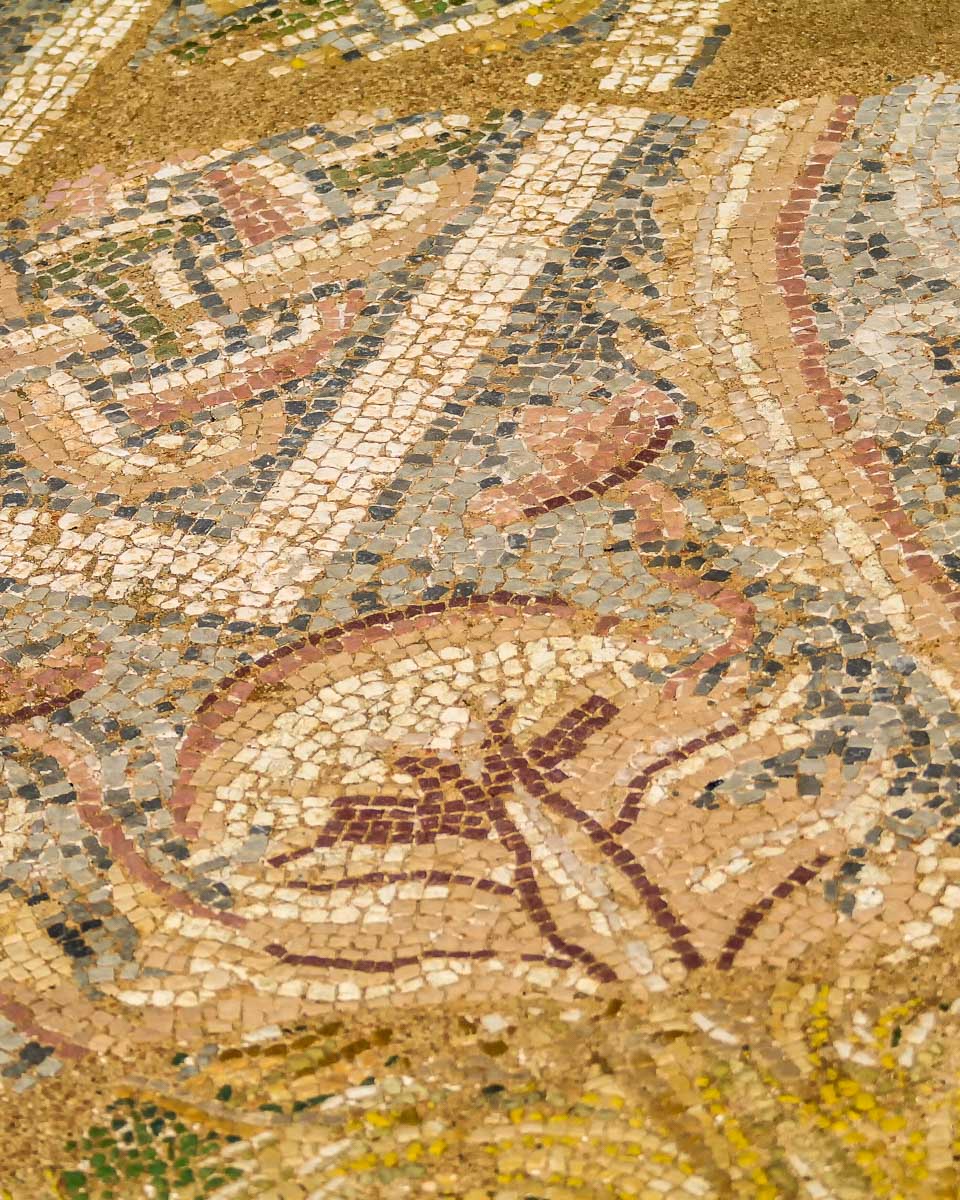 Mosaic fragment at Dion Archaeological Park in Greece seen on a tour from Thessaloniki 1
