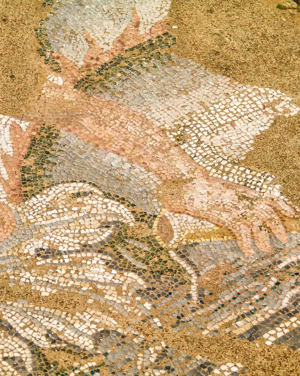 Mosaic fragment at Dion Archaeological Park in Greece seen on a tour from Thessaloniki