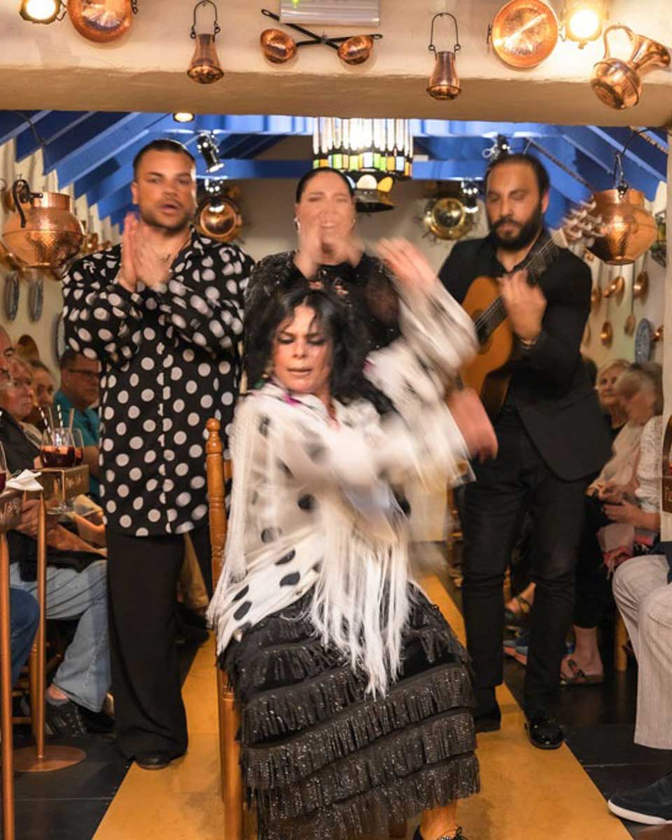 Tablao Flamenco Marbella in Marbella Spain (2)
