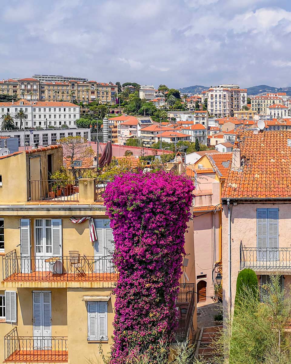 Top view over the houses in Le Suquet, Cannes